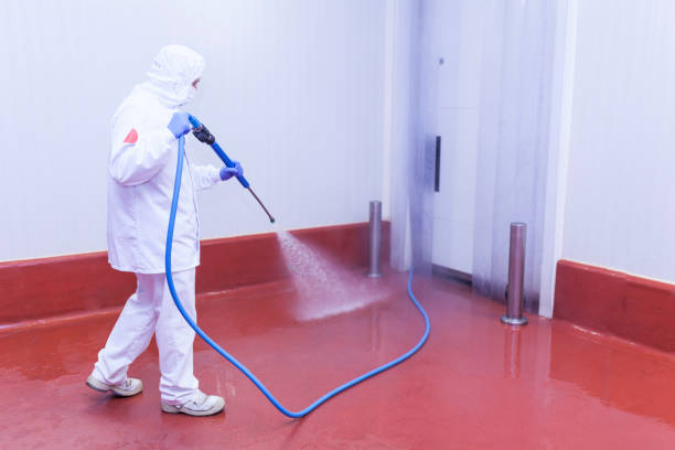 Zephyrhills North, FL Pressure Washing Services Company